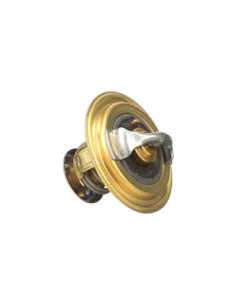 Termostato Motor