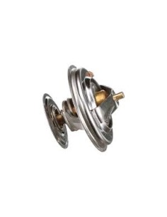 Termostato Motor