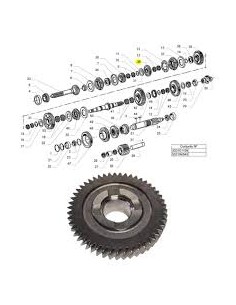 Engranaje Conducido 2