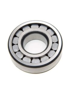 Rodamiento Diferencial