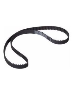 Correa Distribucion 2 5