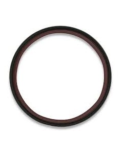 Reten Posterior Ciguenal