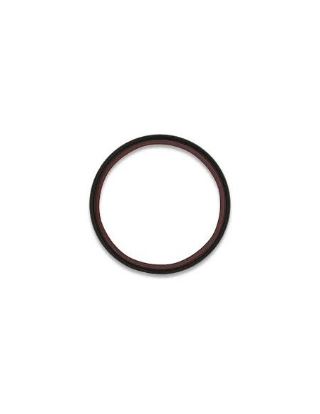 Reten Posterior Ciguenal