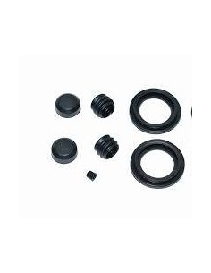 Reparacion Pinza Fre