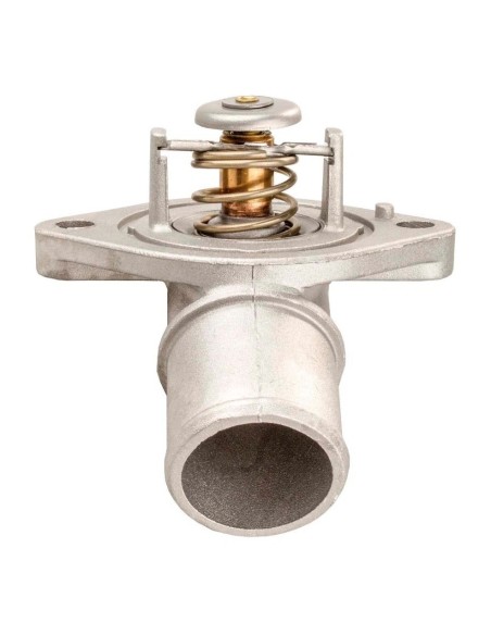 Termostato Motor