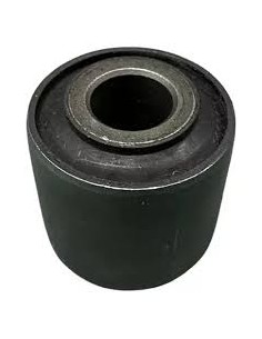 Buje Tensor Posterio