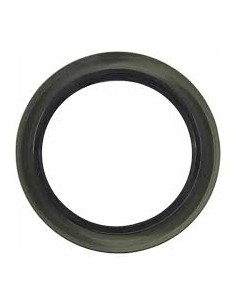 Reten Banc Trasera -ring Aleman-