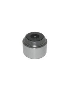 Piston Pinza Freno Ant