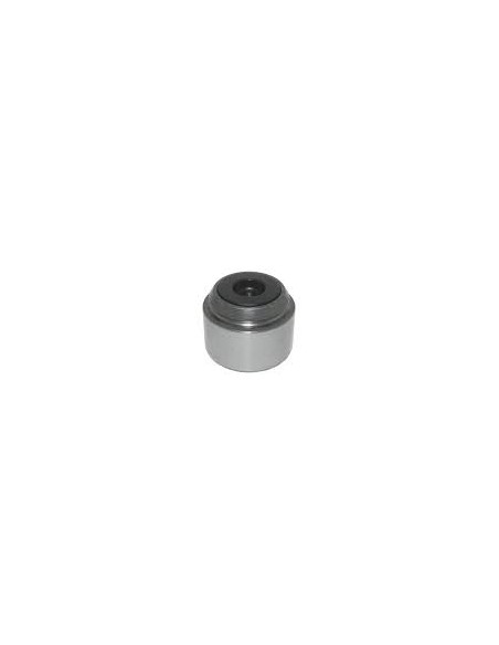 Piston Pinza Freno Ant