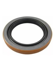 Reten Masa Posterior