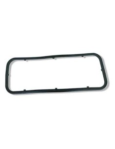 Junta Carter Cavallino