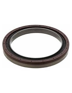 Reten Ciguenal Stralis