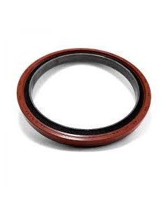 Reten Ciguenal Stralis Delantero