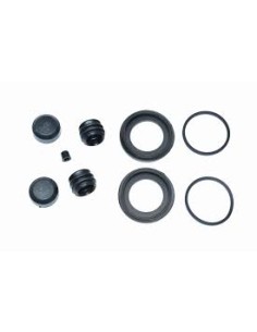 Reparacion De Caliper