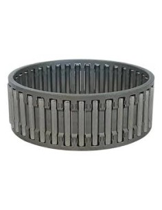 Rodamiento Caja Cambios