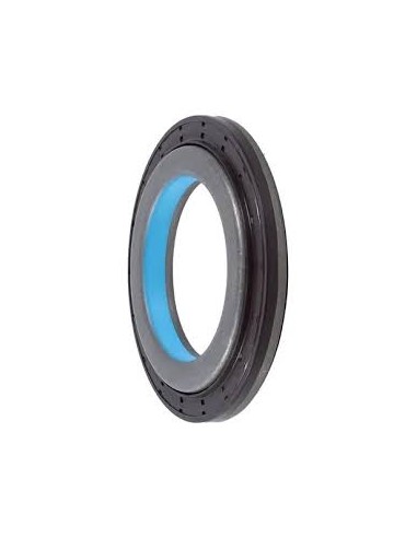 Reten De Pinon Meritor