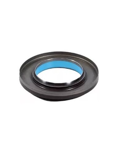 Reten De Pinon Meritor