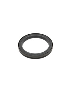 Reten Ciguenal Stralis