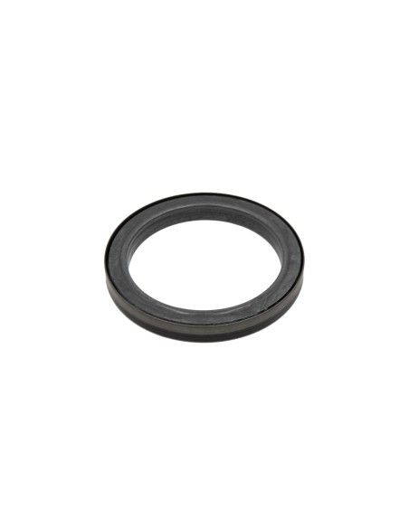 Reten Ciguenal Stralis