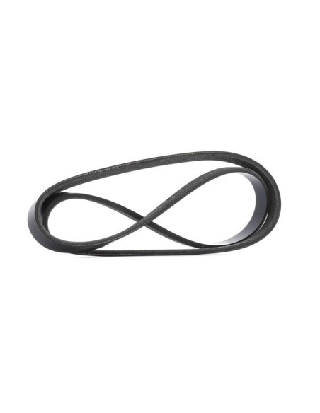 Correa Compr  Acond  Lema