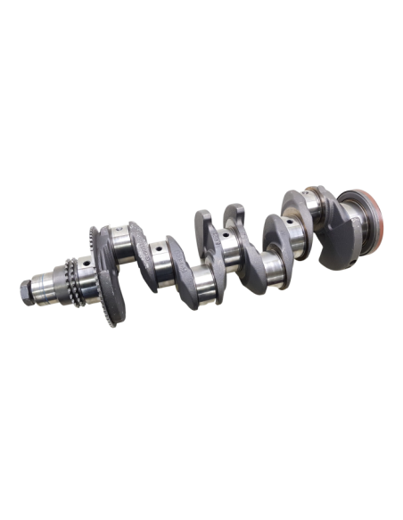 Ciguenal Daily 55c16