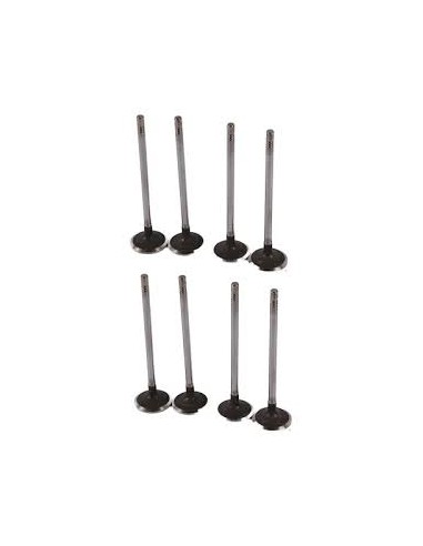 Juego De Valvulas Adm Esc