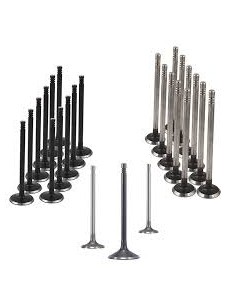 Jgo Valvula Admision Mahle