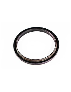 Reten Posterior Ciguenal Lema