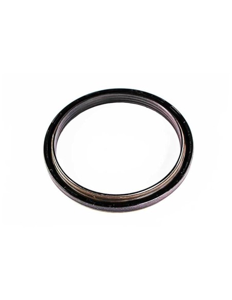 Reten Posterior Ciguenal Lema