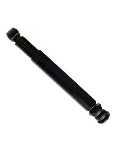 Amort Anterior Sachs