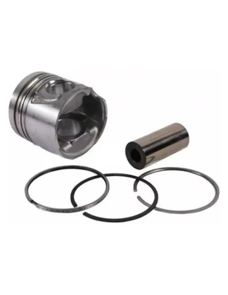 Piston Perno Aro Tector 300