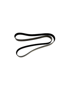 Correa Cursor Cavallino