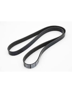 Correa Trapezoidal 8pk1688